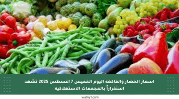 أسعار الخضار والفاكهة اليوم الخميس 7 أغسطس 2025 تشهد استقراراً بالمجمعات الاستهلاكية
